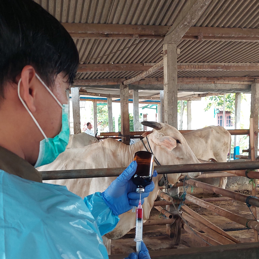 VAKSIN: Petugas Puskeswan menakar volume cairan antibiotik. Dispertapa Kulon Progo melakukan pengawasan ketat usai wabah antraks merebak di Gunungkidul.