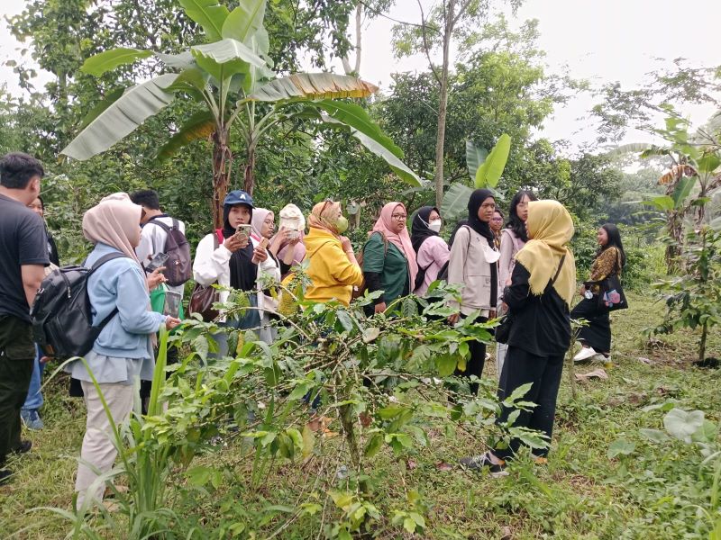 POTENSIAL: Pengunjung saat melihat kebun Kopi Merapi yang jadi salah satu produk unggulan Sleman.