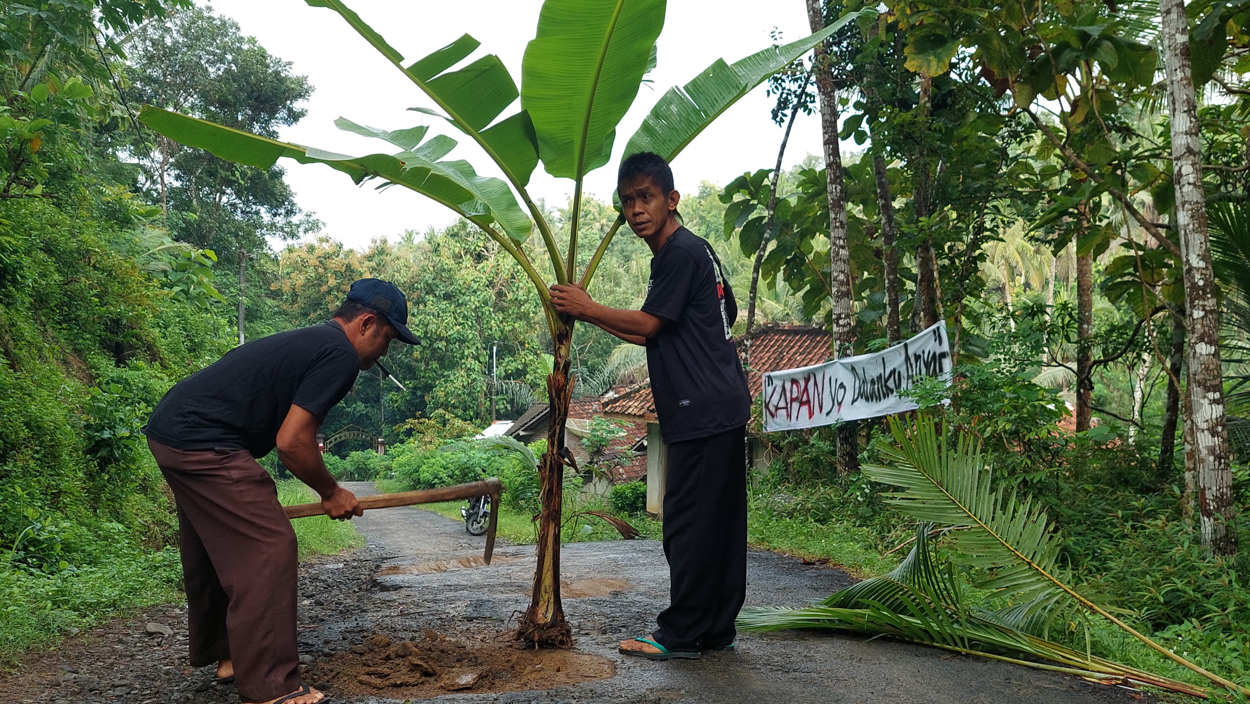 PROTES: Warga Tangkisan 2 menanam pohon di jalan berlubang.&nbsp;