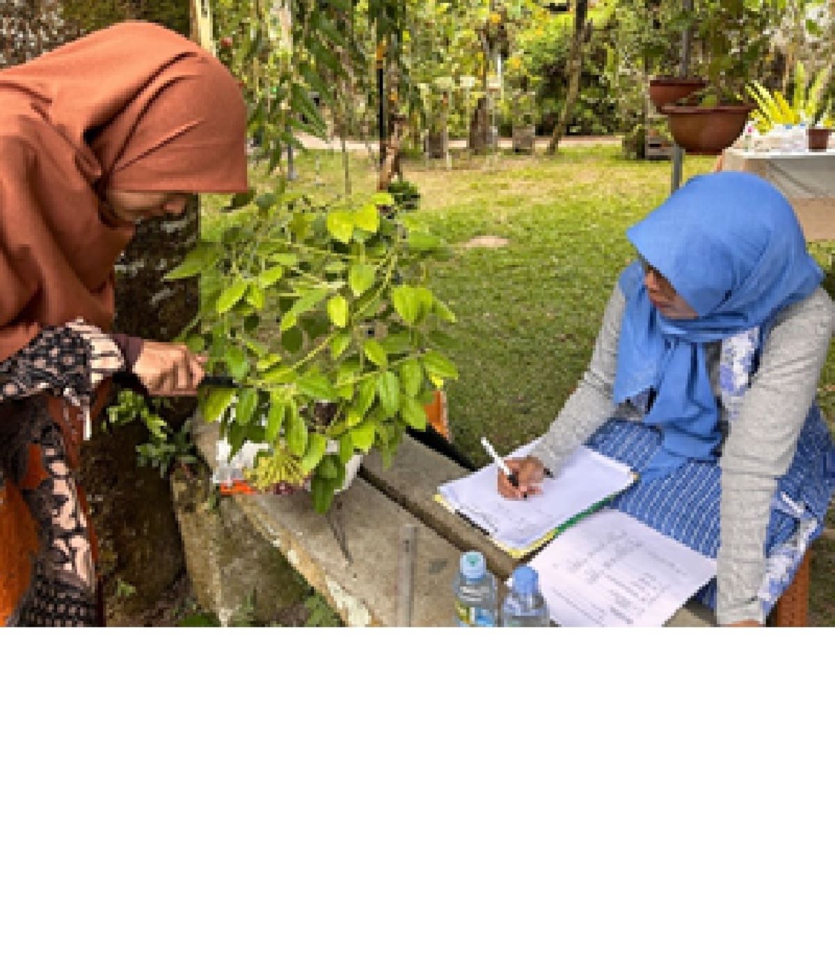 BERAGAM: Varietas tanaman hoya yang ditemukan di DIY telah didaftarkan dan terbit sertifikat. Hal ini dilakukan untuk melestarikan kekayaan hayati dan mencegah pencurian kekayaan alam.
