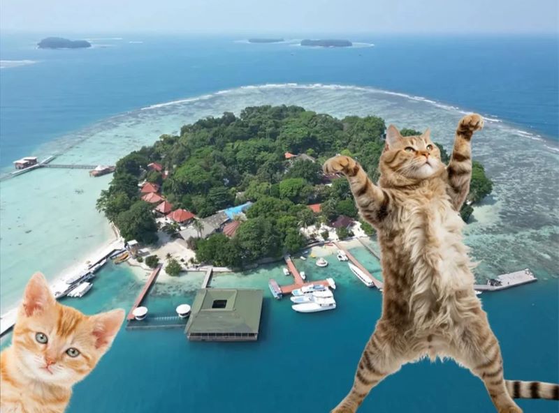 Pemerintah DKI Jakarta gagas Pulau Kucing di Kepulauan Seribu.