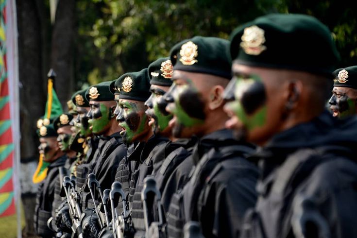 Tentara Nasional Indonesia (TNI).