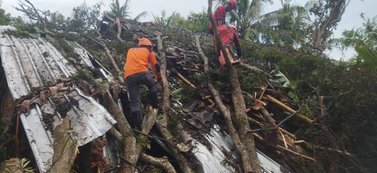 Dampak hujan dan angin kencang di Sleman yang menyebabkan pohon tumbang dan genting beterbangan Rabu (7/5)