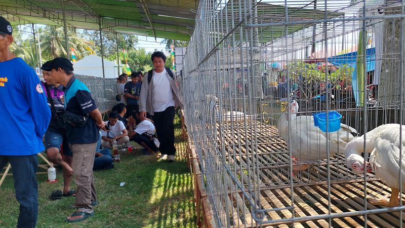 RAMAI: Festival entok di Kulin Progo berlangsung meriah.