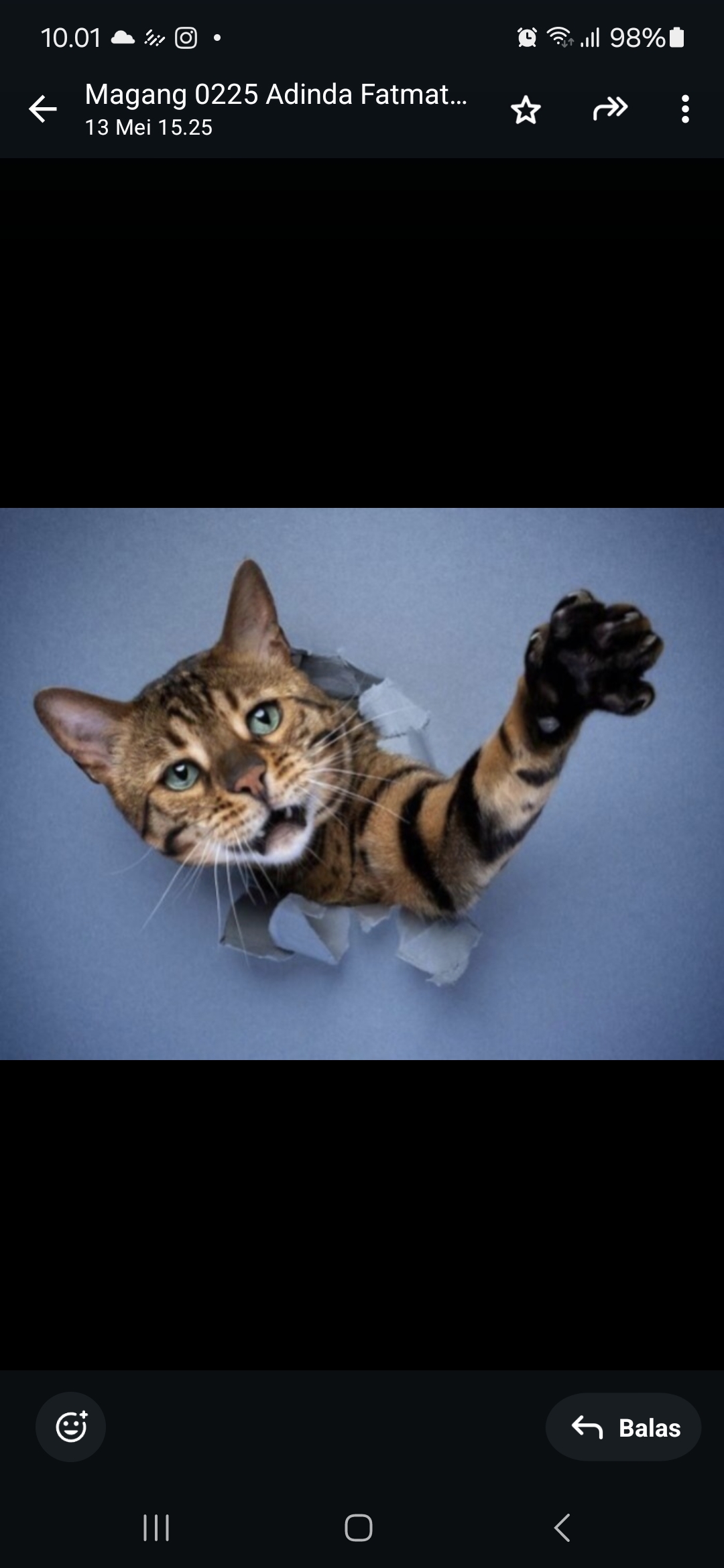 Kucing.
