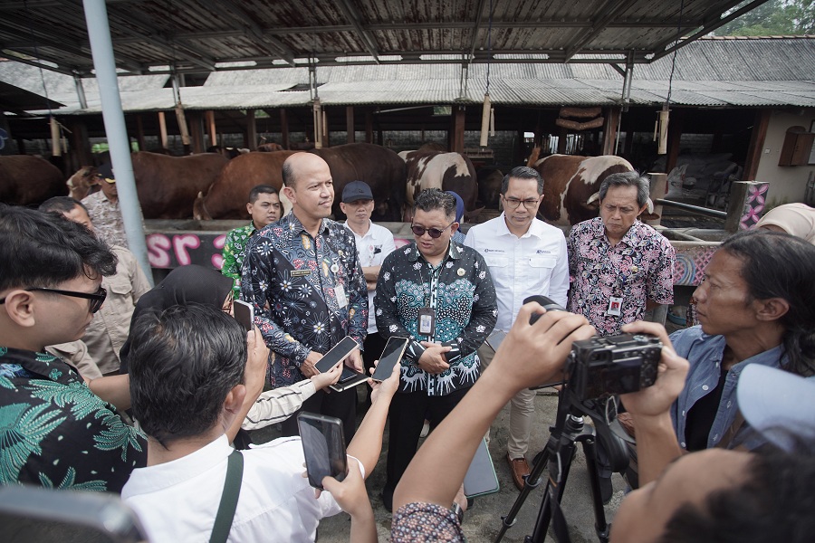 Tim Pengendalian Inflasi Daerah (TPID) DIJ memastikan ketersediaan hewan kurban di Kabupaten Gunungkidul dalam kondisi aman dan sehat.