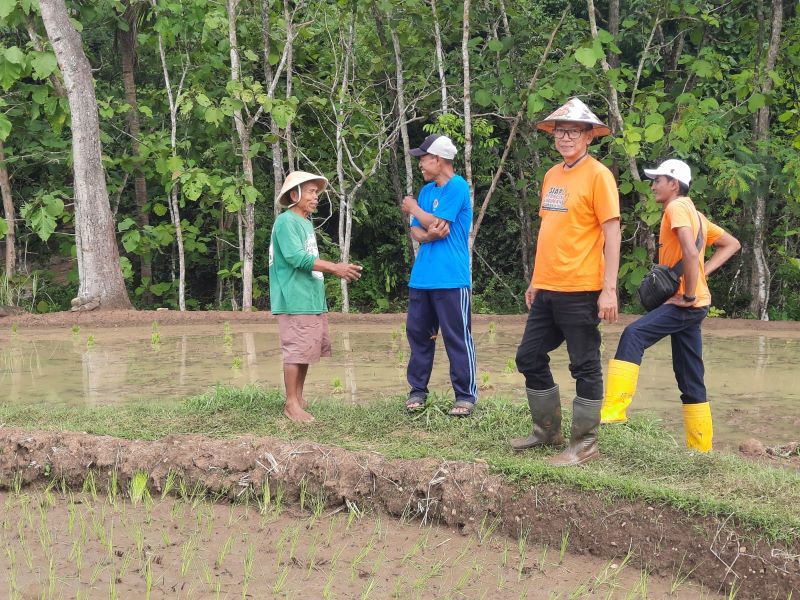TURUN LAPANGAN: Jajaran Dinas Pertanian Gunungkidul melakukan tinjuan lahan pertanian di Ngalang, Gendagsari Minggu (25/5).