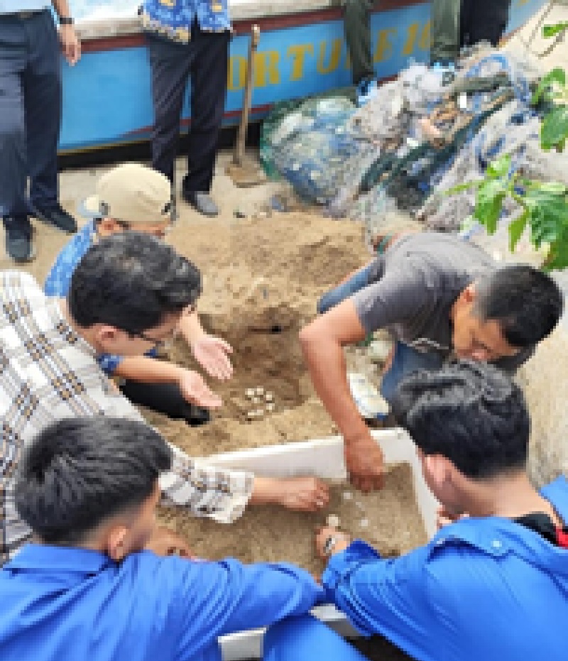 Ada dua Foto:  DILINDUNGI: Proses relokasi ratusam telur penyu yang ditemukan di tiga pantai di Gunungkidul pada pertengahan Mei lalu.