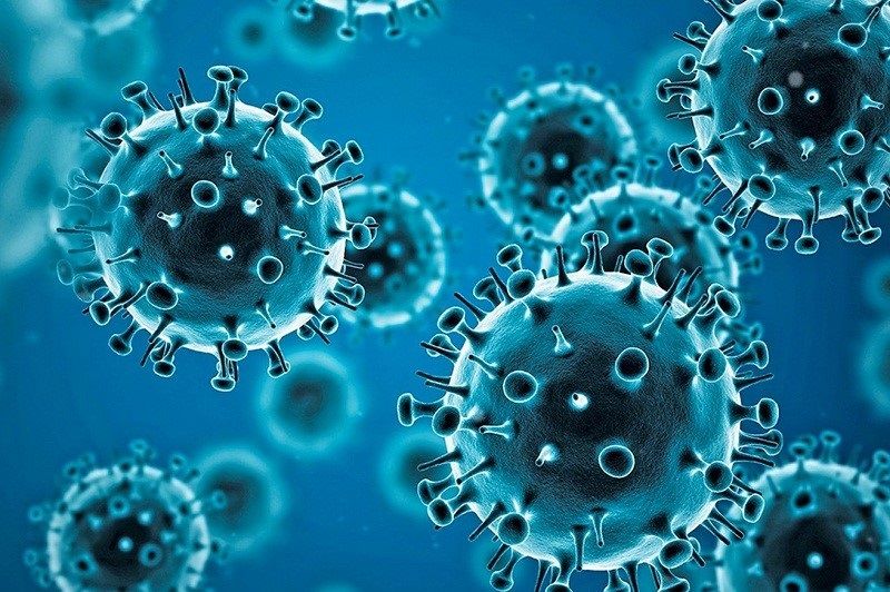 Ilustrasi corona virus.