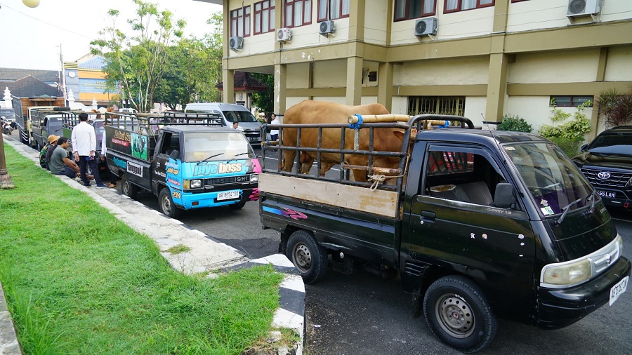 SIAP SEMBELIH: Secara simbolis penyaluran sapi dan kambing sebagai bantuan hewan kurban untuk seluruh kapanewon dari Pemkab Gunungkidul.