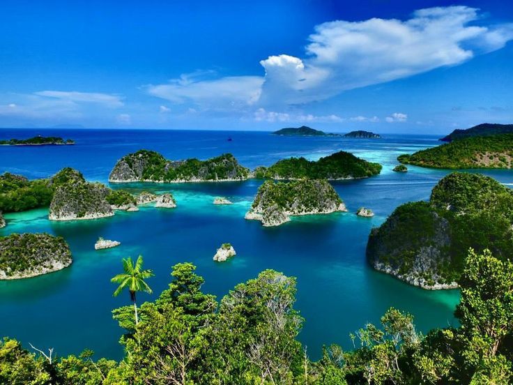 SURGA DUNIA: Pemandangan Raja Ampat, Papua Barat.