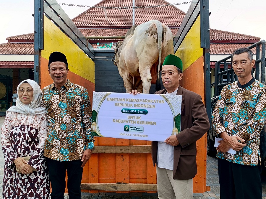 PEMBERIAN PRESIDEN: Wakil Bupati Kebumen Zaeni Miftah menerima sapi kurban Presiden Prabowo Subianto untuk disembelih di Masjid Agung Kauman Kebumen.