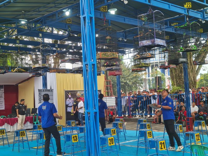 DAYA TARIK: Ratusan peserta dari berbagai daerah membawa burung andalannya untuk tampil dalam lomba kicau burung, Minggu (8/6).