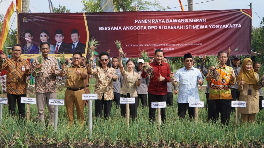 Istimewa: Panen Raya bawang merah di Klayar Kalurahan Kadung Poh Kapanewon Nglipar dihadiri anggota DPD RI Senin (16/6)