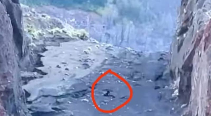 Pendaki perempuan berkebangsaan Brazil, Juliana Marins (27), dilaporkan hilang di Gunung Rinjani, Lombok, Nusa Tenggara Barat (NTB)saat tertangkap kamera drone.