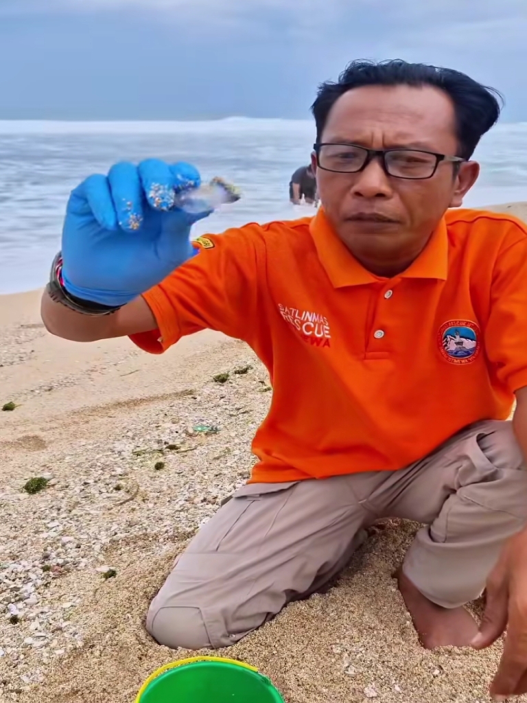 Jangan Sembarang Bermain dengan Impes Ubur-Ubur Muncul di Pantai Selatan Gunungkidul, Wisatawan Diminta Waspada