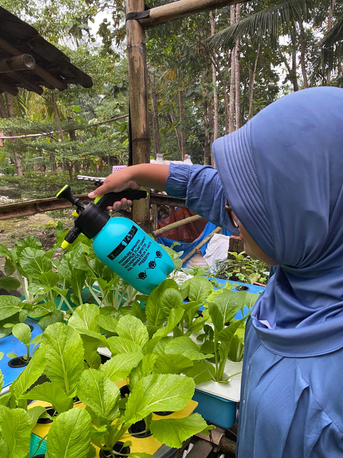 Petani Perempuan Gen Z, Elza Amalia, sedang melakukan perawatan tanaman hidroponik di Gren House miliknya di Padukuhan Ngijo, Kalurahan Semin, Kapanewon Semin Gunungkidul Senin (30/6).  &nbsp;
