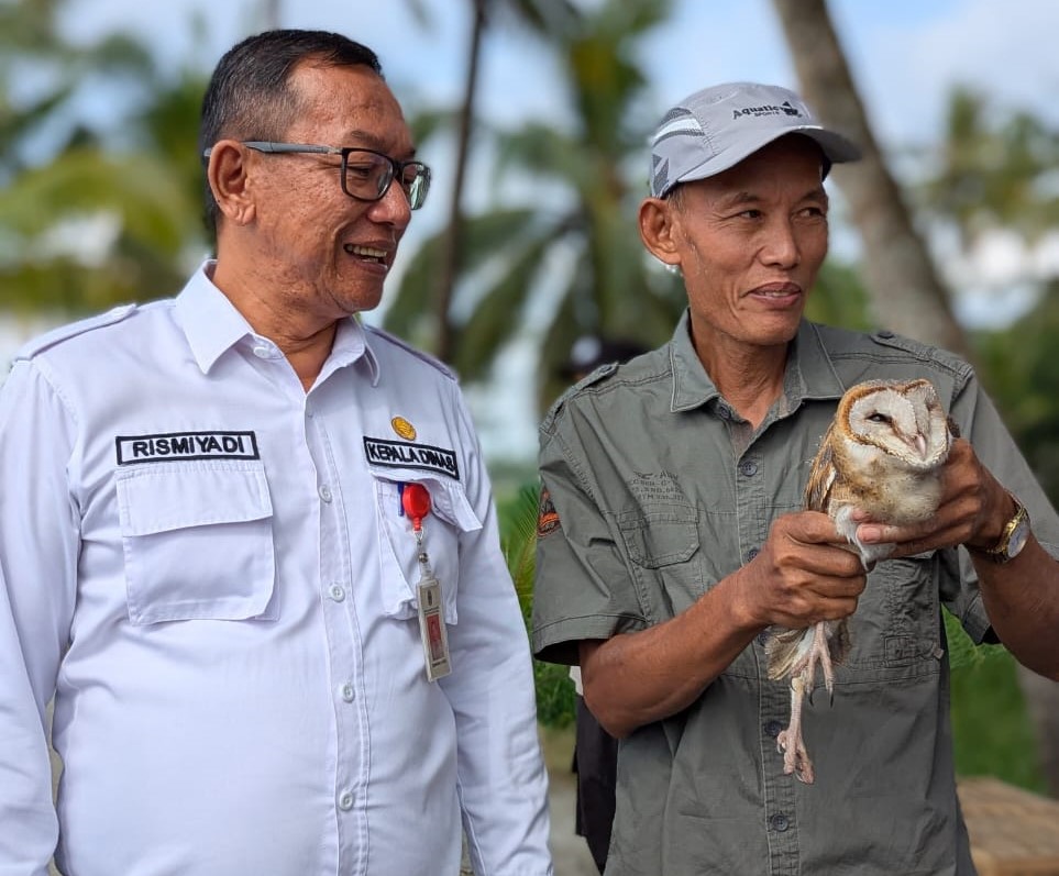Rismiyadi sedang melepas burung Tyto Alba di area persawahan Kalurahan Ganjahan Kapanewon Ponjong, Gunungkidul.