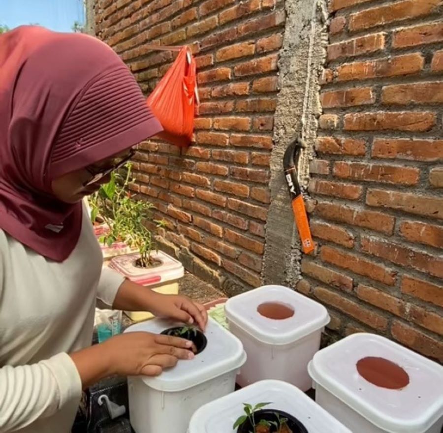 Petani Perempuan Gen Z, Elza Amalia, sedang melakukan perawatan tanaman hidroponik di Gren House miliknya di Padukuhan Ngijo, Kalurahan Semin, Kapanewon Semin Gunungkidul