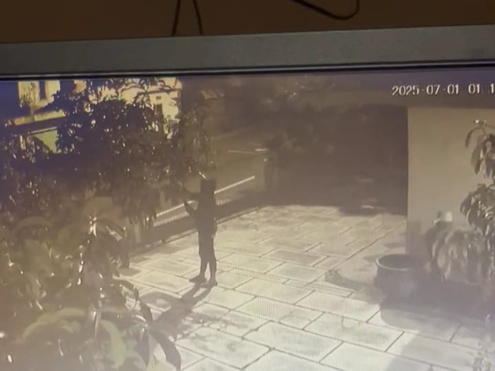 GASAK ALPUKAT: Seorang pencuri terekam kamera CCTV saat mengambil alpukat milik Ahmad Sarwo Edi di pekarangan rumahnya, Senin (1/7/2025).
