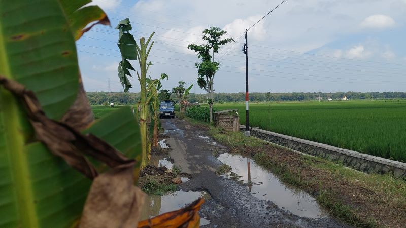 PROTES: Warga Srikayangan menanam pohon di Jalan Srikayangan-Sentolo yang rusak parah.