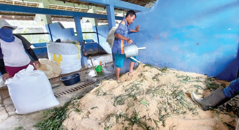 KEBUTUHAN TERNAK: Proses pembuatan omplete feed fermentasi hasil inovasi Balai PPTDK Dinas Pertanian dan Ketahanan Pangan DIY. Inovasi itu diharapkan dapat meminimalkan anggaran pakan dan tenaga kerja