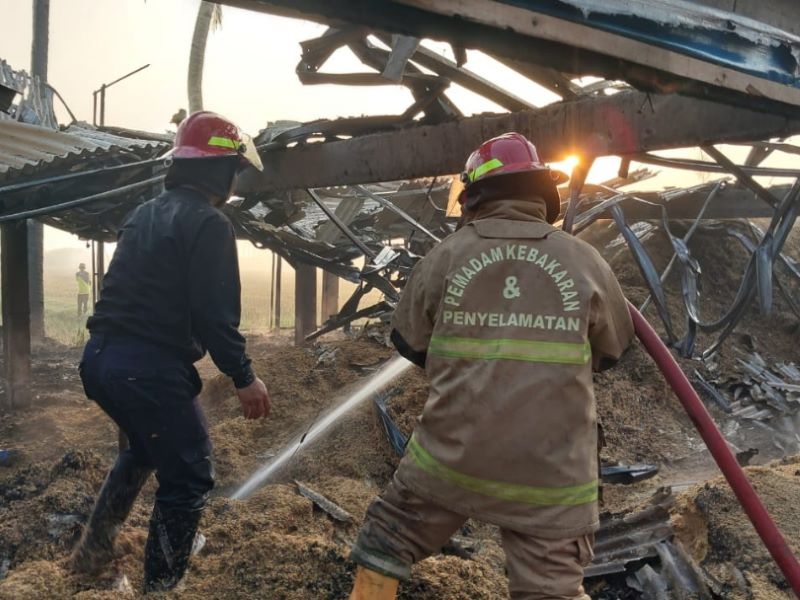 EVAKUASI: Petugas pemadam kebakaran dari Satpol PP Kebumen saat memadamkan kobaran api yang menghanguskan kandang ayam di Desa Kaleng, Kecamatan Puring.