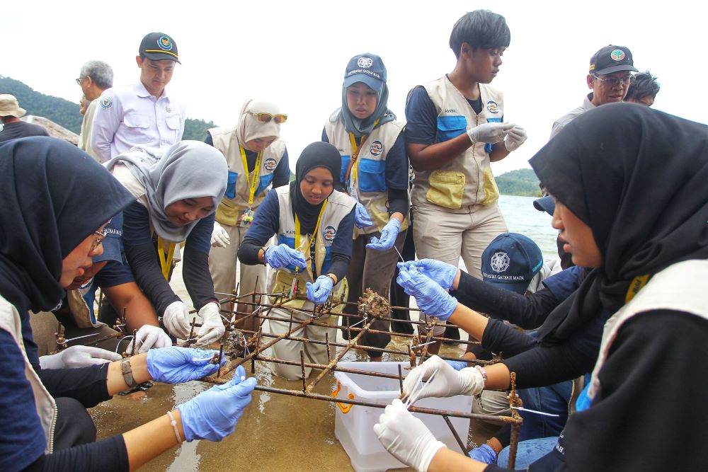 TELITI: Mahasiswa KKN UGM mentransplantasikan bibit terumbu karang pada bidang baja sebelum ditanam di area konservasi di Nagari Mandeh, Kabupaten Pesisir Selatan