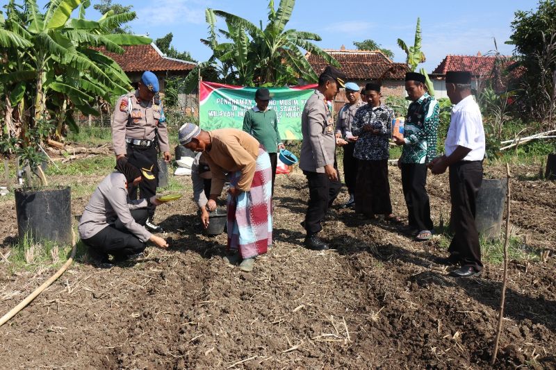 MASA TANAM: Wakapolres menanam benih jagung di lahan pondok pesantren.&nbsp;