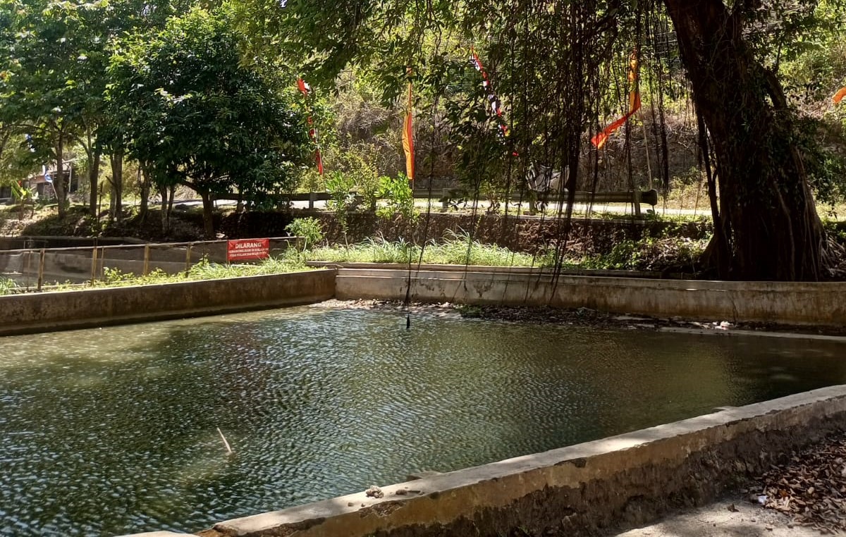 Air buangan dari sumber Ngeleng tertampung di telaga yang digunakan oleh warga untuk beternak ikan dan memandikan sapi.
