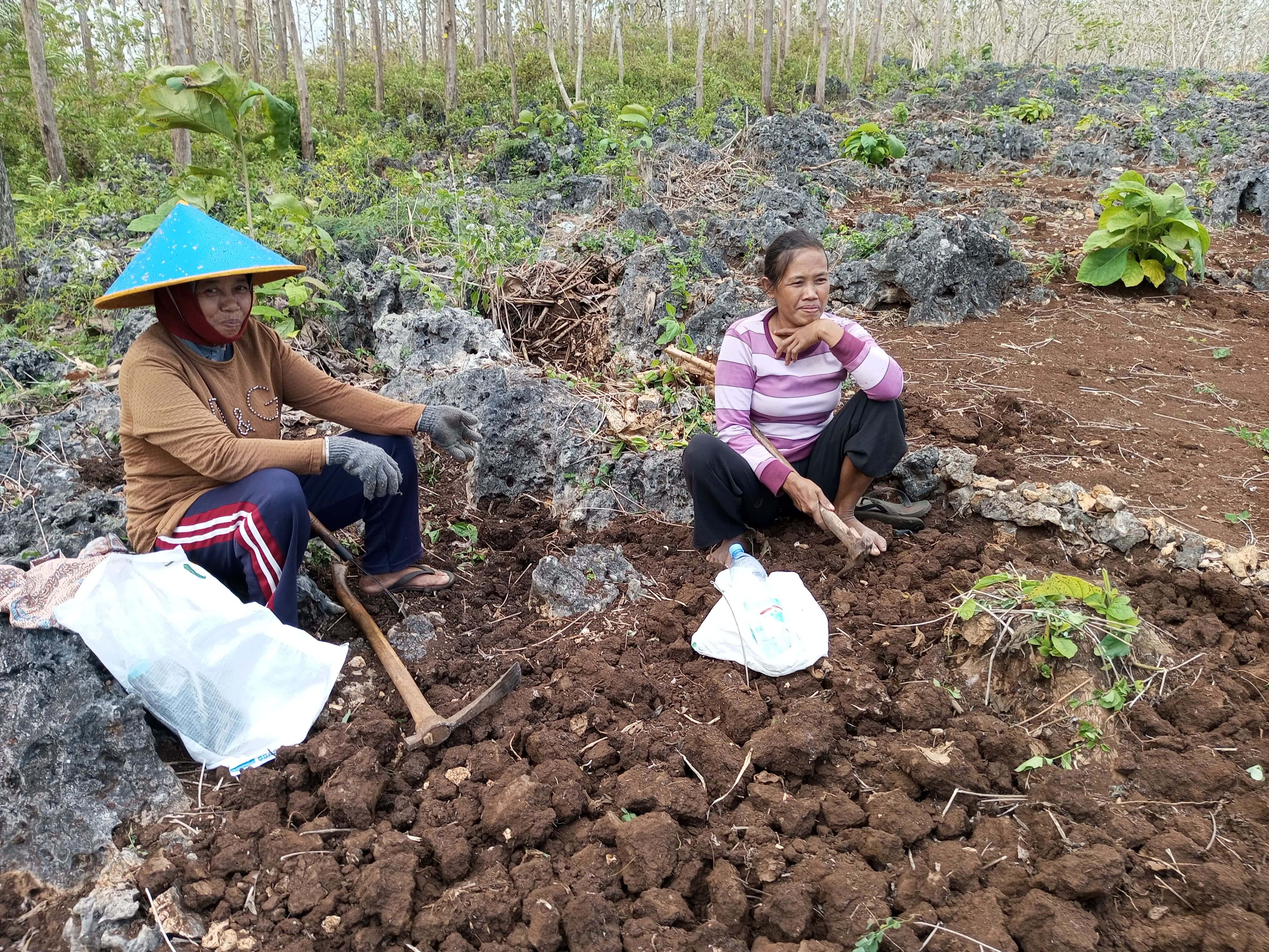Wahinah, Maryanti, dan Ngadinah sedang bercerita susah payahnya bertahan di&nbsp;desa&nbsp;sebagai perempuan yang bekerja sebagai Buruh Tani pada Jumat (15/8).