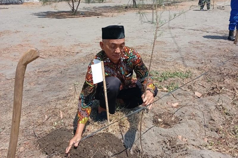 LESTARIKAN: Supriyanto sedang menanam pohon cemara di Pantai Cangkring