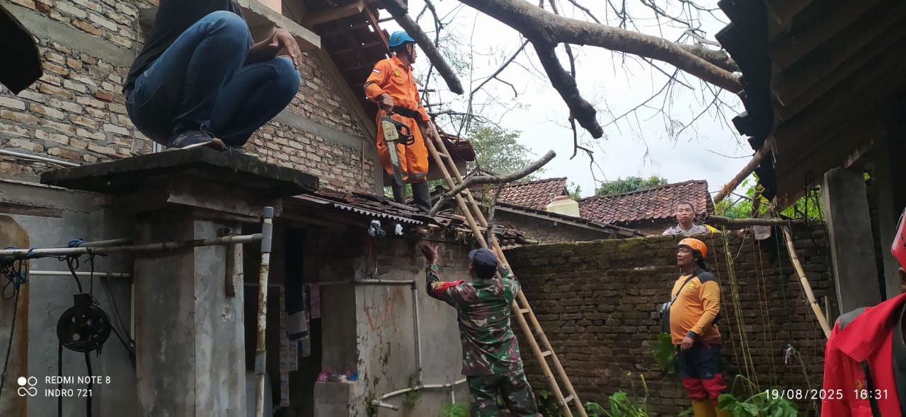Dampak Hujan Deras dan Angin Kencang di Sleman, Pohon Timpa Ruang Kelas SMP