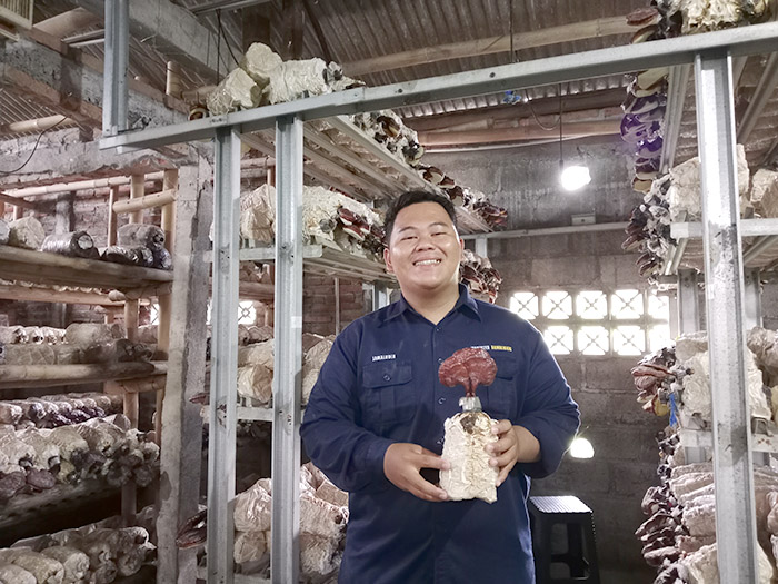 UBAH CITRA PERTANIAN TRADISIONAL: Founder Jamal Farming Jamaludin Nur Ridho dengan usaha jamur lingzhi.
