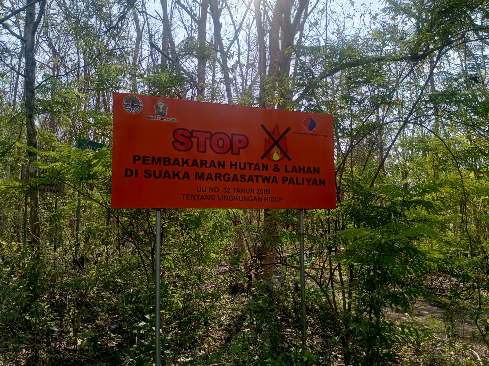 Polisi Hutan BKSDA Yogyakarta yang bertugas di SM Paliyan Agus Sunarto menyebut kebakaran hutan selalu terjadi tiap tahun di kawasan hutan SM Paliyan.