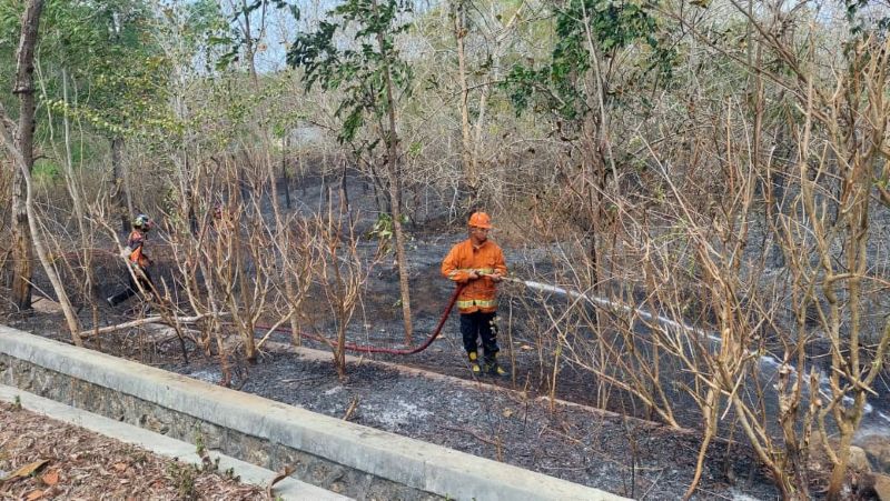 PENDINGINAN: Personel Damkarmat Kulon Progo berusaha memadamkan api lahan yang terbakar.&nbsp;