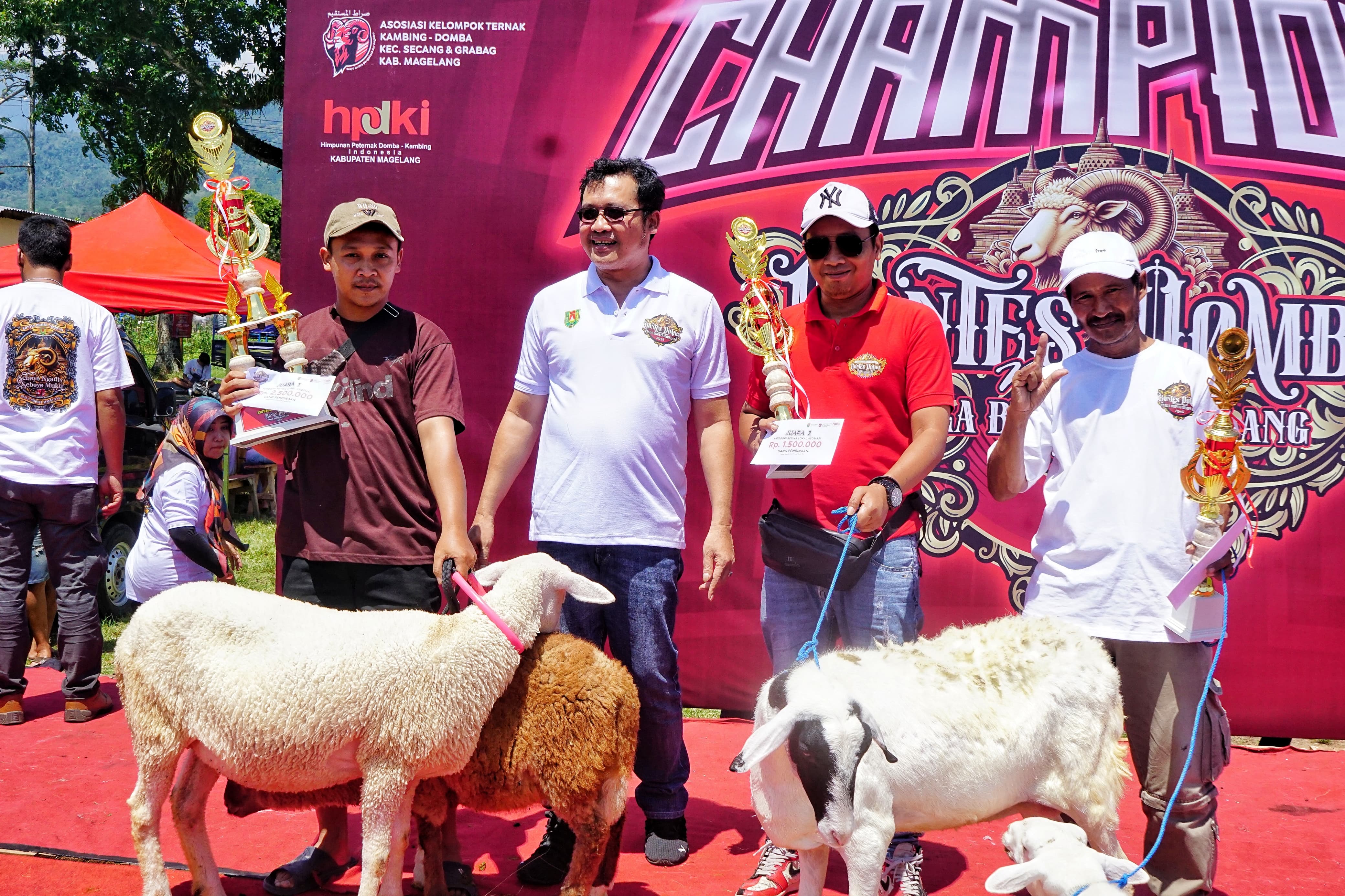 Kontes domba di Lapangan Desa Ngasinan, Grabag pada Sabtu (20/9) diikuti oleh peternak dari berbagai daerah.