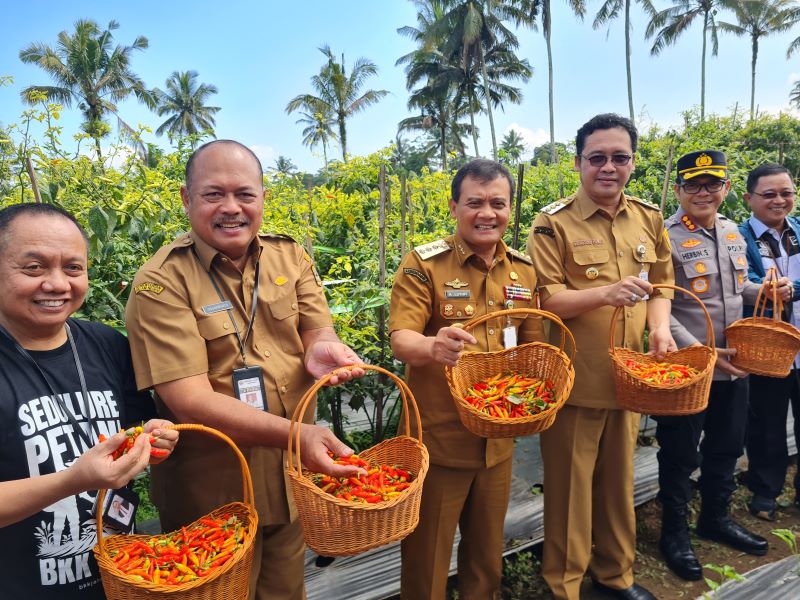SIMBOLIS: Gubernur Jateng didampingi bupati Magelang saat menanam cabai di Dusun Sikendil, Banyusidi, Pakis Kabupaten Magelang Senin (22/9).