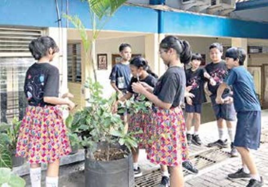 RaWaT  TanaMan:  Siswa SD  Tarakanita  Bumijo 1 Jogja  merawat salah  satu tanaman  yang tumbuh  di lingkungan  sekolah dalam  kegiatan  Reresik  Sekolah,  Jumat (19/9)