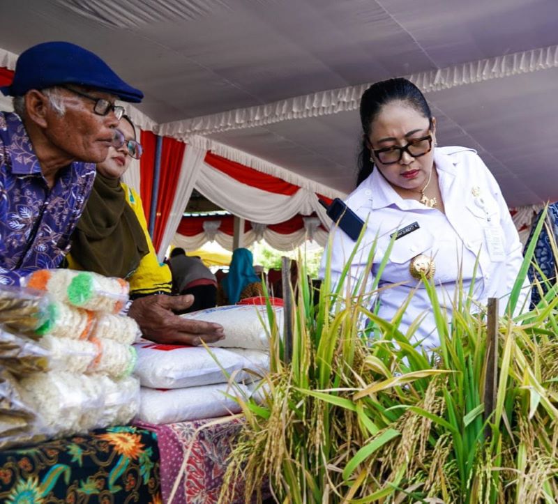 Bupati Gunungkidul Endah Subekti Kuntariningsih sedang mengunjungi stand hasil tani Bangsal Sewokoprojo pada Rabu (24/9).