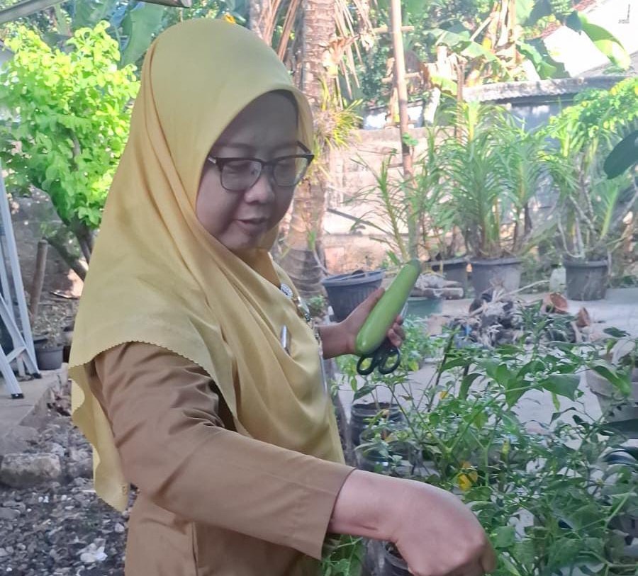 Istri Kepala Dinas Pertanian dan Pangan Gunungkidul sedang memanen cabai di pekarangan rumahnya.