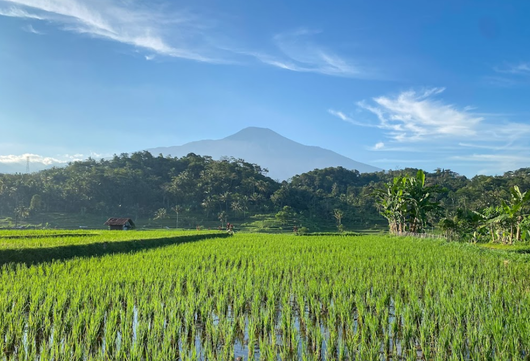 Keindahan Gunung Slamet.