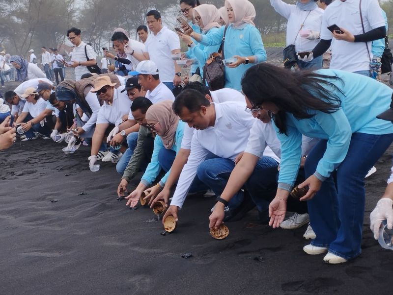 KONSERVASI: Ratusan tukik dilepasliarkan di Pantai Bugel, Jumat (3/10/2025).&nbsp;