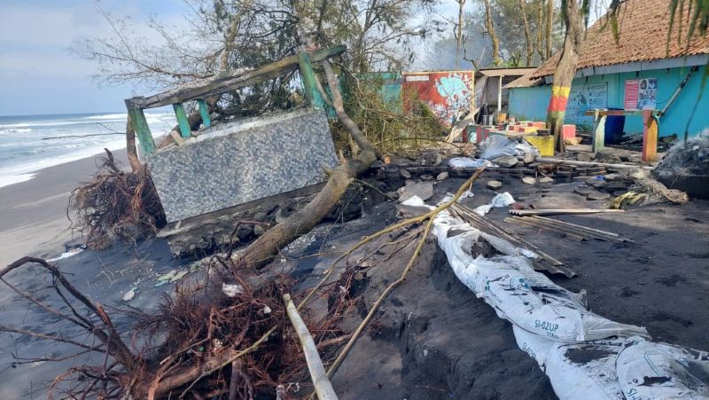 Suasana Pesisir Pantai Kulon Progo yang kian terkena abrasi, hal ini juga berdampak pada penurunan sarang penyu.