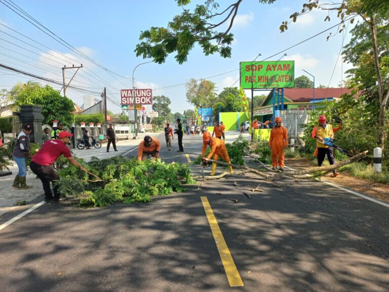 Petugas BPBD Kabupaten Gunungkidul melaksanakan pemotongan pohon di Jalan Nasional Wonosari - Jogja sebagai bentuk mitigasi bencana alam selama musim pancaroba.