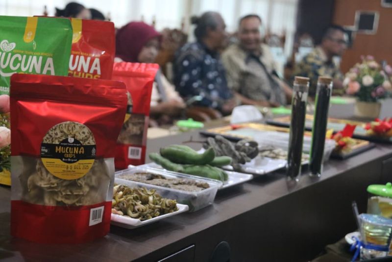 UNGGUL: Tiga varietas lokal di Kulon Progo memiliki keunggulan dan mendapat sertifikat menuju varietas nasional.