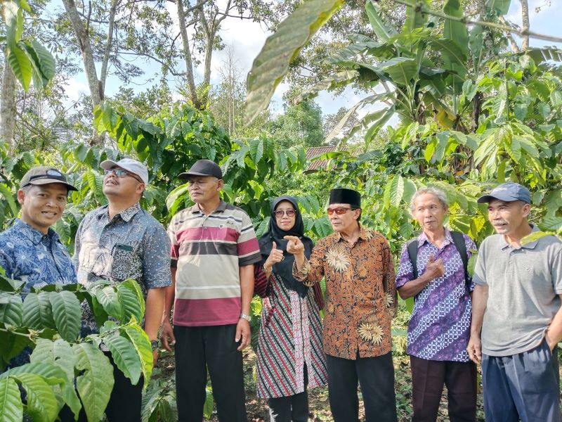 BERKUMPUL BERSAMA: Sejumlah petani kopi Merapi yang tergabung dalam Gapoktan Sejahtera Umbulharjo, Cangkringan, Sleman, pejabat DPKP DIY dan lurah Umbulharjo berada di kebun kopi salah satu petani