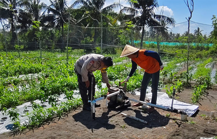 TURUN KE BAWAH: Bhabinkamtibmas Kalurahan Karangwuni Polsek Wates Aipda Suprihatin saat sambang tegalan di wilayah binaannya.