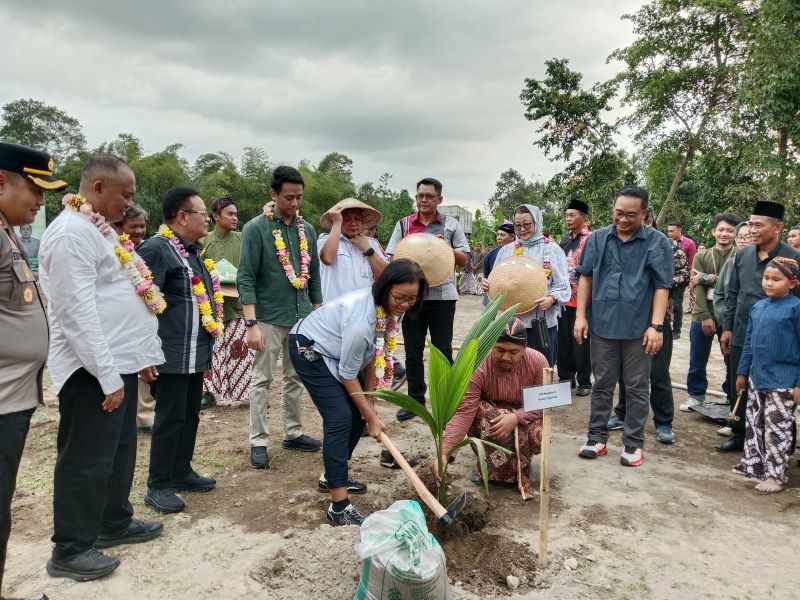 GKR Mangkubumi ikul menanam pohon kelapa genjah di Panjen, Maguwoharjo, Kapanewon Depok, Minggu (12/10).