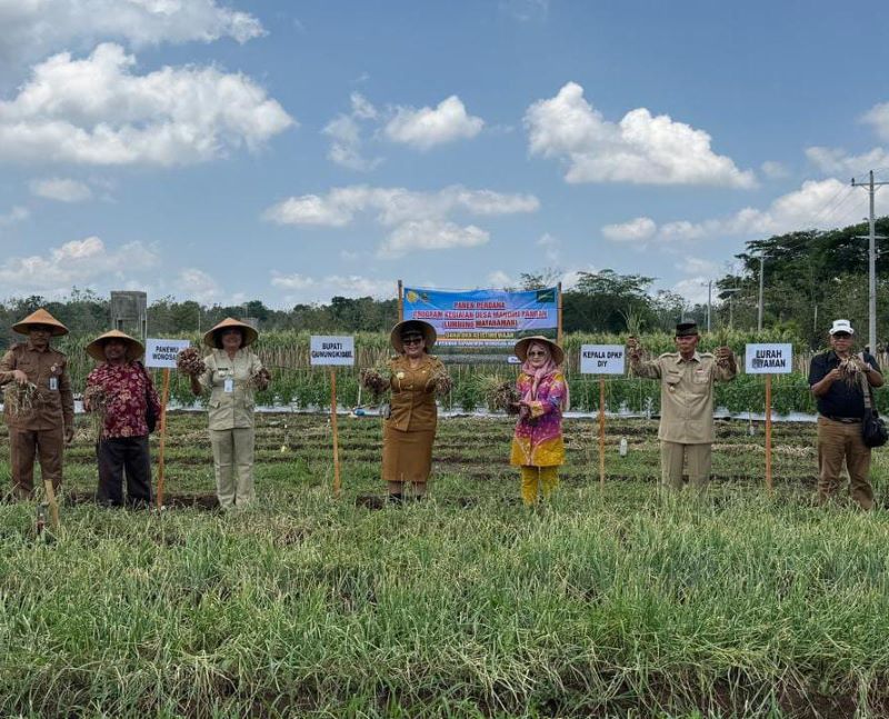 Panen raya dibuka oleh Bupati Gunungkidul Endah Subekti Kuntariningsih. Dia mengingatkan agar pengelolaan Lumbung Mataraman tetap memperhatikan prinsip efisiensi.